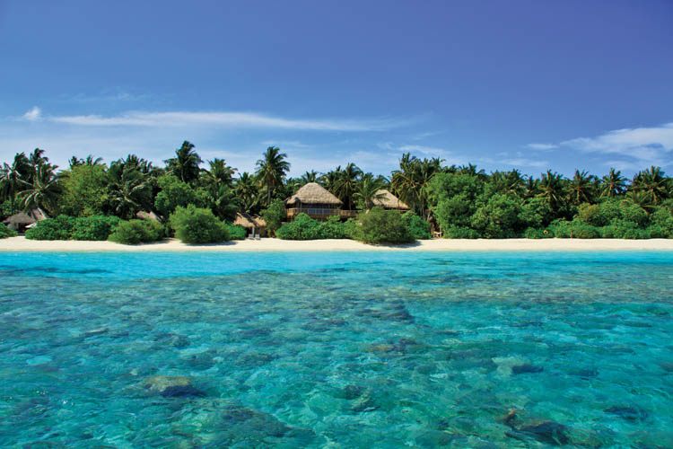 Wayfarers Atlas Soneva Fushi Maldives villa 36 Jungle Reserve. The perfect family-friendly or group surf holiday destination