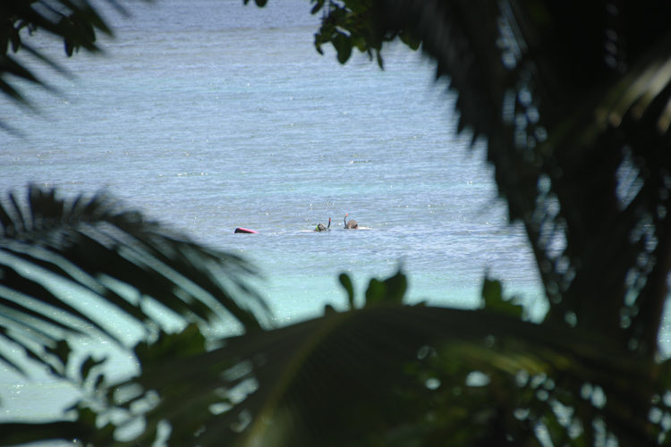 Snorkelling of the beach at Qamea Resort & Spa, Fiji