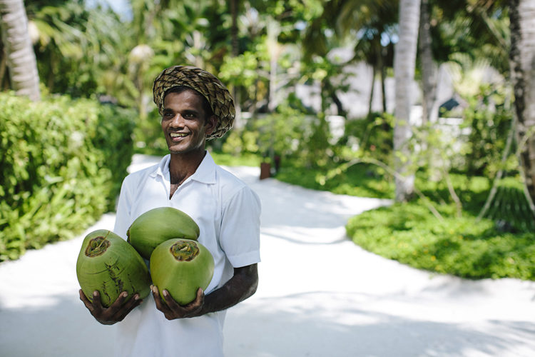 Island Coconuts at Anatara Veli Maldives