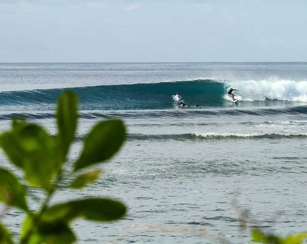 surfer on a wave Resort Latitude Zero