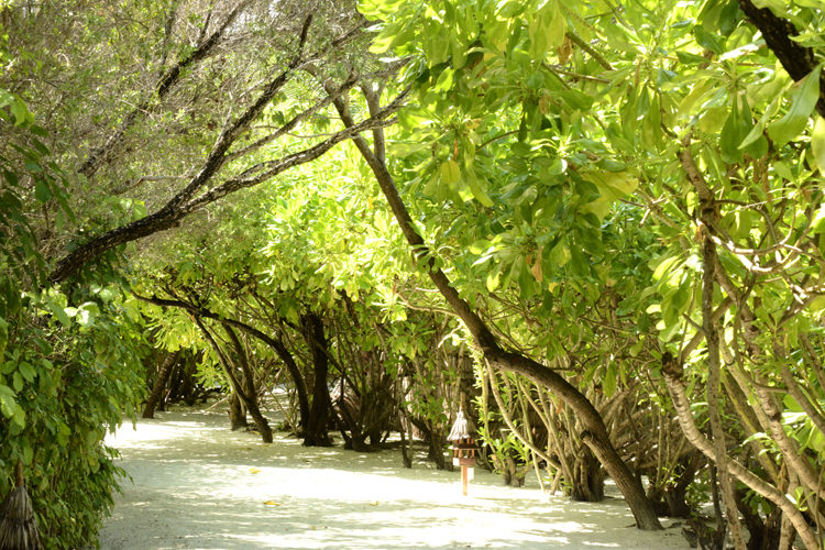 Anantara Veli island pathway