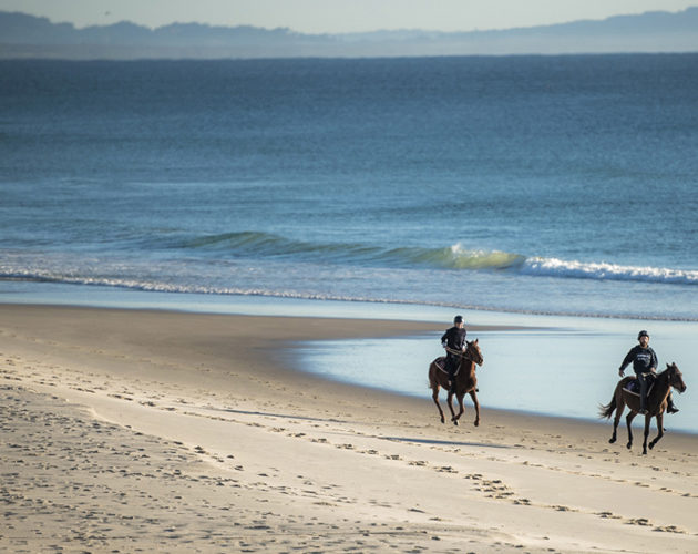 Horsing in Byron Bay 40 minutes from Halcyon House