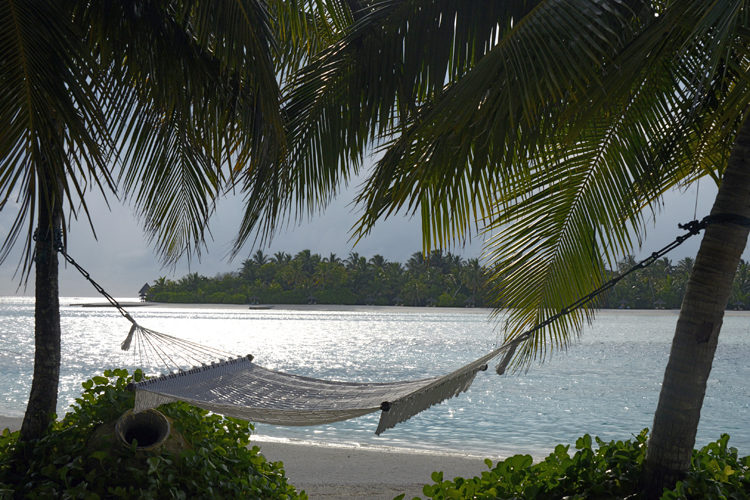 Naladhu hammock hanging between palm trees