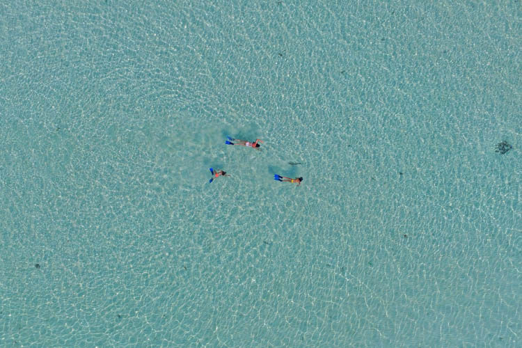 Wayfarers Atlas Soneva Jani Maldives snorkelling